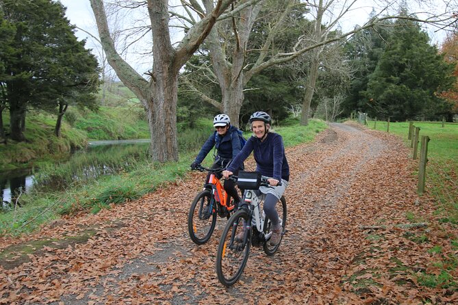 Full Day Ebike Tour in Karangahake Gorge (ex Auckland) - Why Karangahake Gorge works so well by e-bike