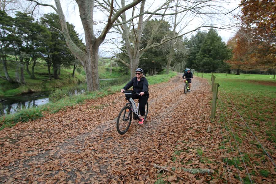 Full Day Ebike Tour - Karangahake Gorge NZ - Through the tunnel and on to Paeroa