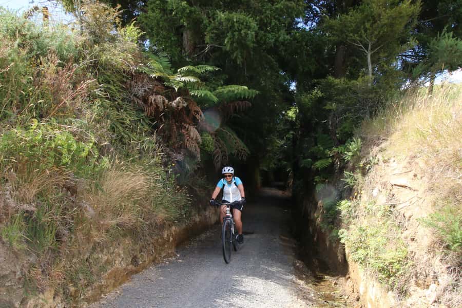 Full Day Ebike Tour - Karangahake Gorge NZ - Waikino to Waihi on the old rail route