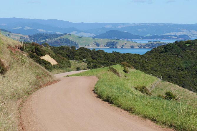 Full Day Private Waiheke Island Wine Tour Including Lunch - Why a Private Waiheke Wine Day Works So Well