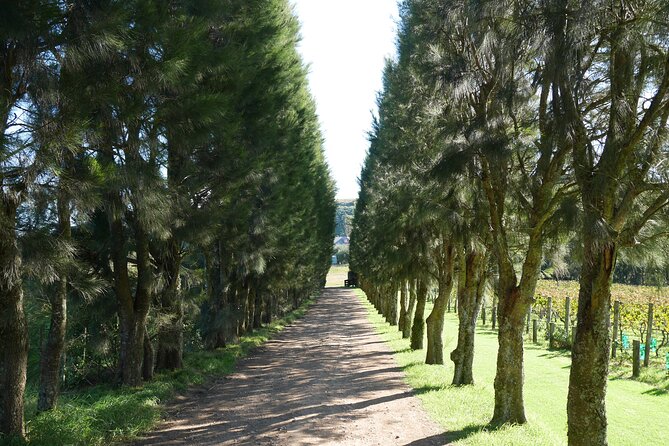 Full Day Private Waiheke Island Wine Tour Including Lunch - Is $434.40 Per Person Good Value?