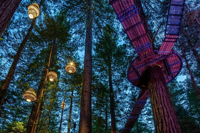 FULL DAY ROTORUA TOUR - Fully Customisable 13 hours Unlimited KMS - Why a private Auckland to Rotorua tour makes sense