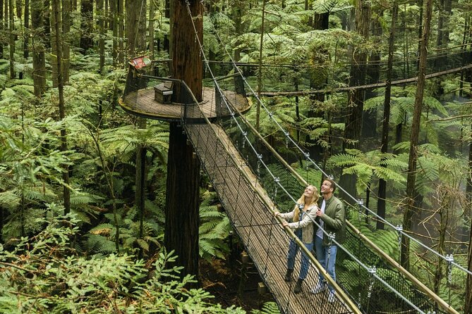 FULL DAY ROTORUA TOUR - Fully Customisable 13 hours Unlimited KMS - Blue Spring offers a short natural break