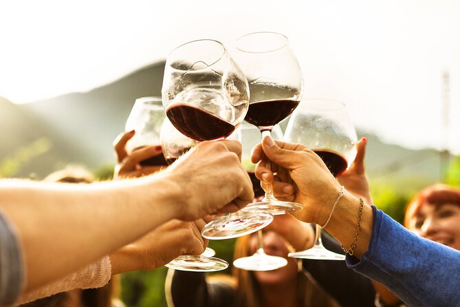 Full-Day Wine Tasting Tour in Auckland with 3-Course Vineyard Lunch - Westbrook in the Ararimu Valley