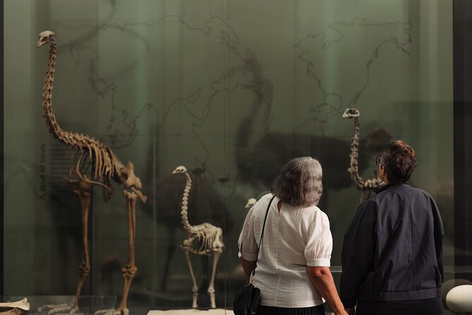 Gallery Highlights Tour and General Admission - Mobility, timing, and group comfort