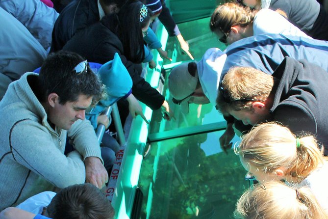 Glass Bottom Boat Tour - Key points at a glance