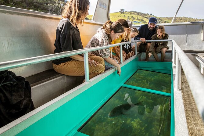 Glass Bottom Boat Tour - Why Goat Island is worth seeing from a boat