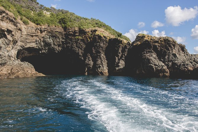 Glass Bottom Boat Tour - What you might see under and above the boat