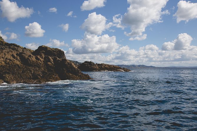 Glass Bottom Boat Tour - Weather, timing, and the nature of the reserve