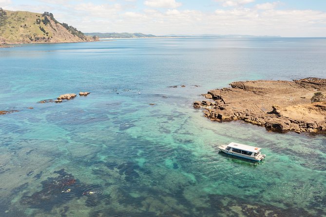 Glass Bottom Boat Tour - The 50-minute marine reserve cruise