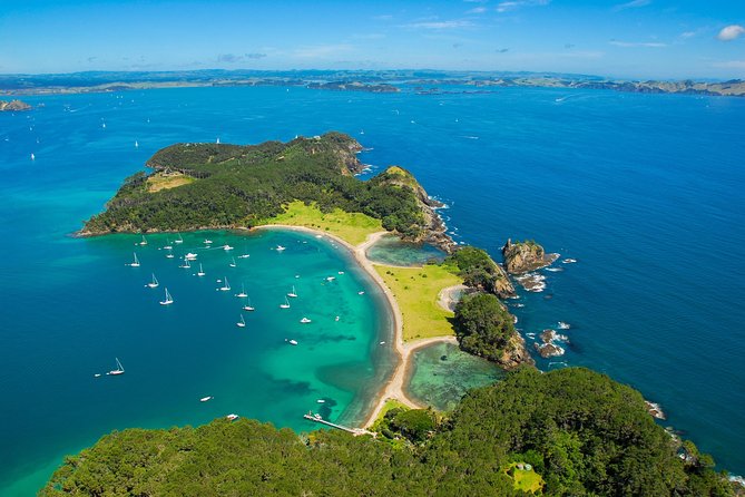 Group tour to Bay of Islands return from Auckland - Key points to know