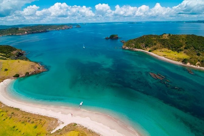 Group tour to Bay of Islands return from Auckland - Looking for bottlenose dolphins