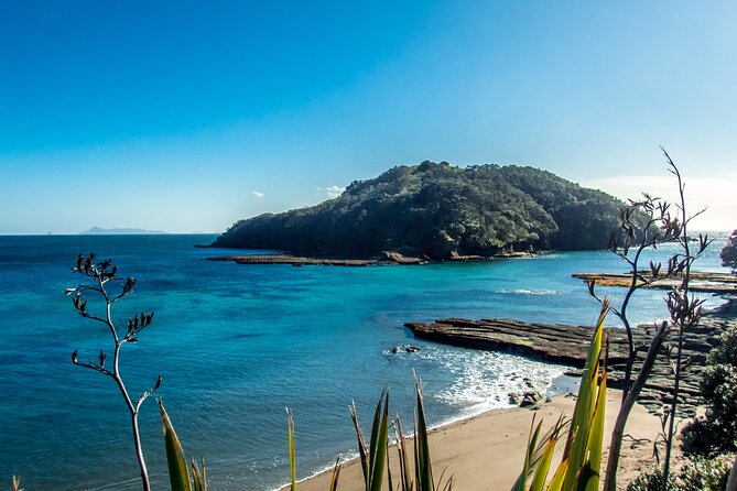 Guided Snorkel Experience, Advanced - What you might see below the surface