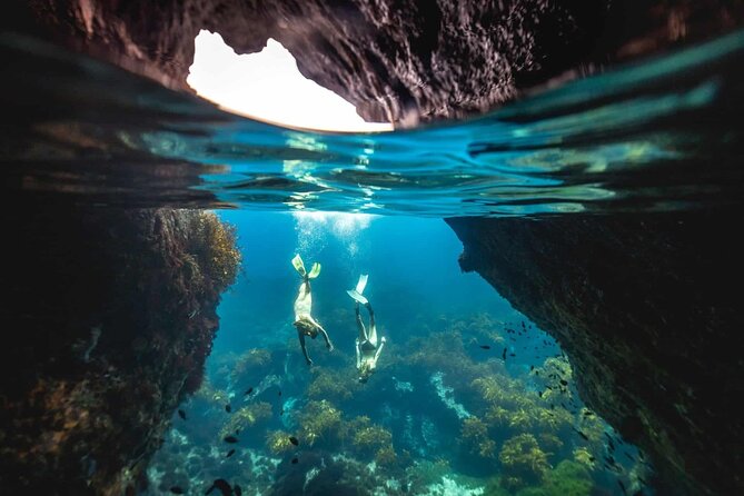 Guided Snorkeling and Island Exploration in Auckland - Key points at a glance