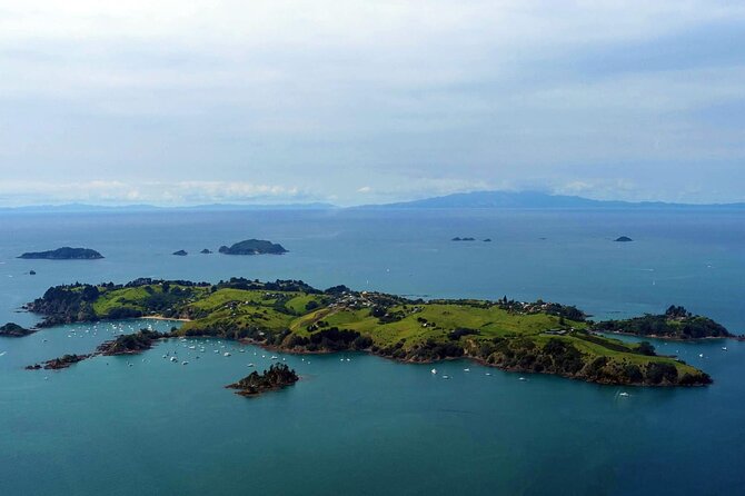 Guided Snorkeling and Island Exploration in Auckland - Why Tiritiri Matangi works so well for this outing