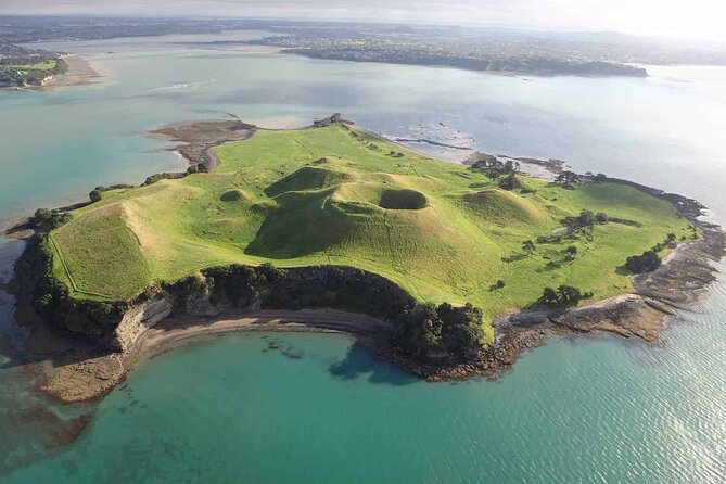 Guided Snorkeling and Island Exploration in Auckland - The walk through native forest and bird habitat
