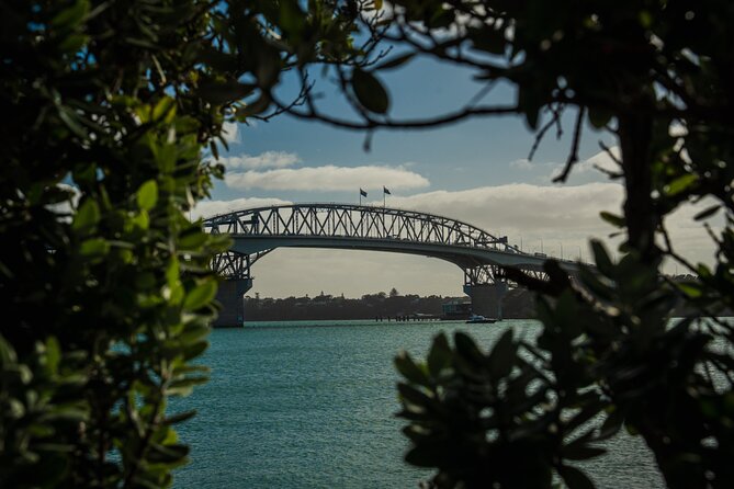 Half-day Discover Auckland City Sightseeing Tour - Why this four-hour route works well