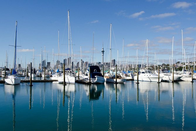Half-day Discover Auckland City Sightseeing Tour - Queen Street and the final downtown drive