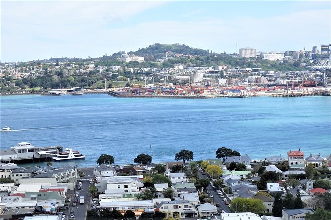 Half-Day: Small Group Auckland Scenic Tour - 4 HOURS - North Head and Auckland’s military past