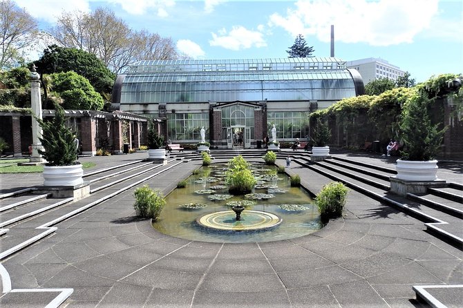 Half-Day: Small Group Auckland Scenic Tour - 4 HOURS - Ponsonby and the city’s social side