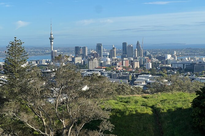 Half-Day Tour: AUCKLAND CITY Highlights with Hotel Pickup - Key points to know before booking
