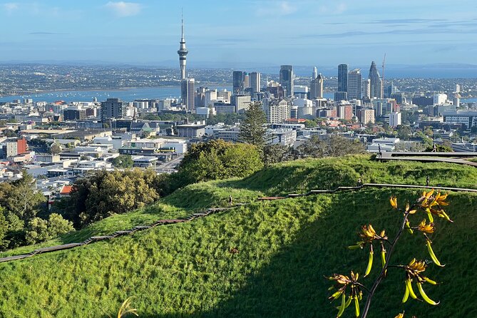 Half-Day Tour: AUCKLAND CITY Highlights with Hotel Pickup - From the Sky Tower to the Harbour Bridge