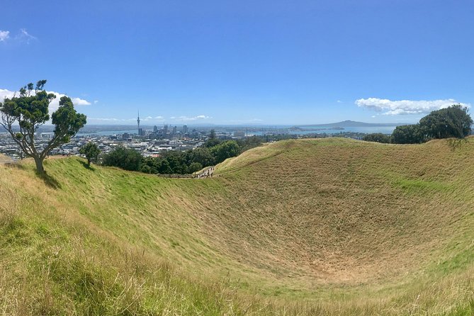 Half-Day Volcano Tour from Auckland - Why Auckland’s volcanoes make a fine morning tour