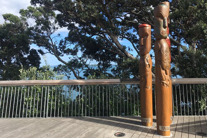 Half-Day Volcano Tour from Auckland - Achilles Point opens with Hauraki Gulf views