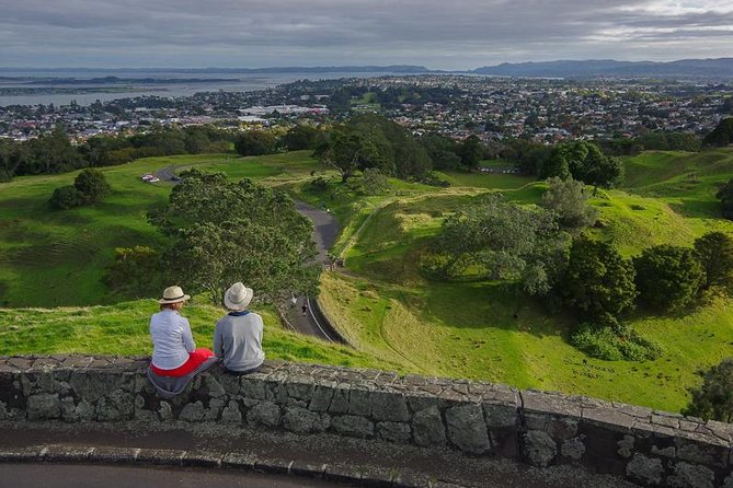Half-Day Volcano Tour from Auckland - What the guide adds between the stops