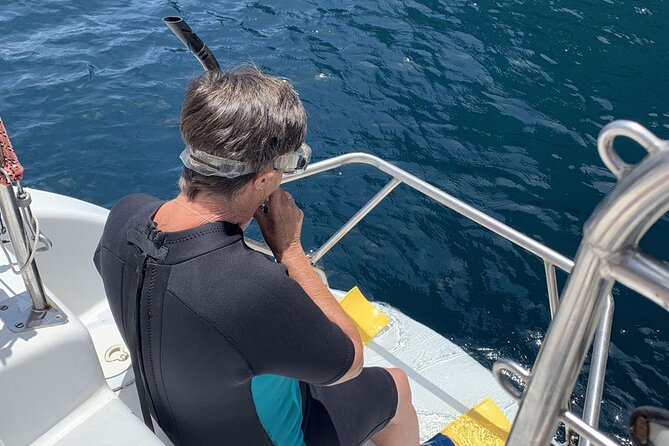 Hauraki Gulf Eco Sailing Adventure - A pest-free island walk with birds and views