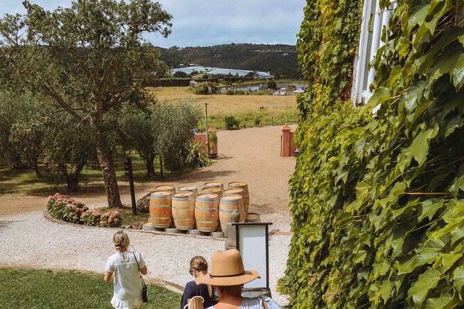 High End Sommelier Tour on Waiheke Island - A local guide can make the island easier to read