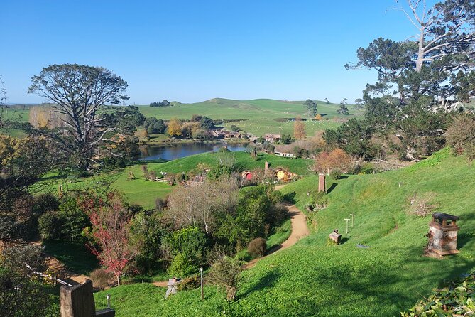 Hobbiton Afternoon Tour in Luxury Minibus from Auckland - Riding from Auckland in a small Mercedes minibus