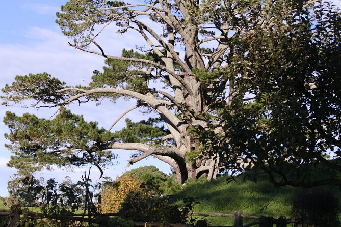 Hobbiton Afternoon Tour in Luxury Minibus from Auckland - A drink at the Green Dragon Inn