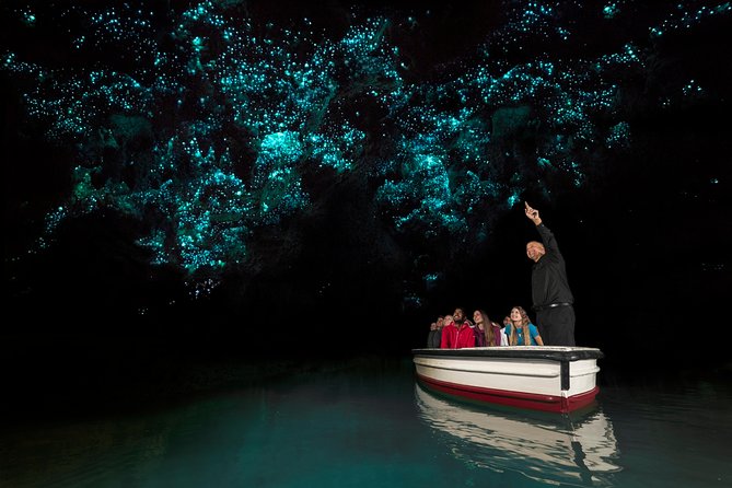 Hobbiton and Waitomo Caves from Auckland - Smaller Group - Is the price of $312.77 good value?