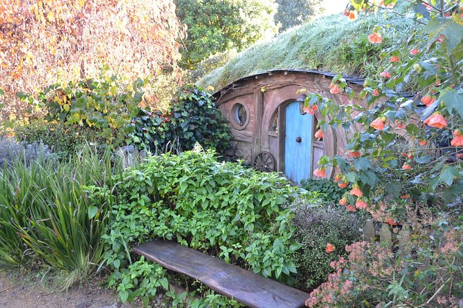Hobbiton Movie Set Group Tour Early Access (Avoid the crowds!) - Why early access changes the Hobbiton experience