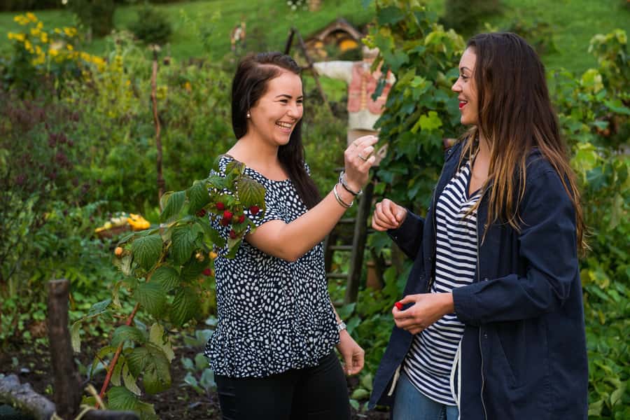 Hobbiton Movie Set & Rotorua Premium Day Tour from Auckland - Is $269 good value?