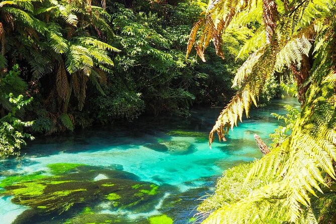 Hobbiton Movie Set Tour to Blue Springs and Mineral Spa - Lunch and a short stop in Tirau