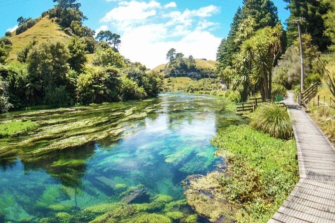 Hobbiton Movie Set Tour to Blue Springs and Mineral Spa - What the $456.12 price buys you