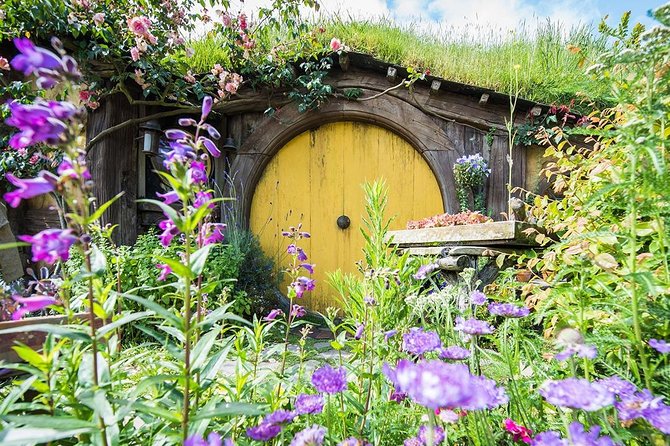 Hobbiton & Rotorua Small Group Tour including Te Puia from Auckland - Who will get the most from this tour