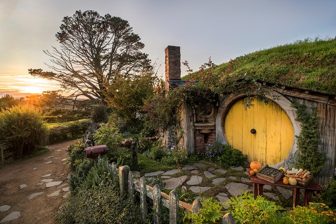 Hobbiton & Waitomo Caves Guided Tour from Auckland with Lunch - Waitomo’s glowworms and the underground boat ride