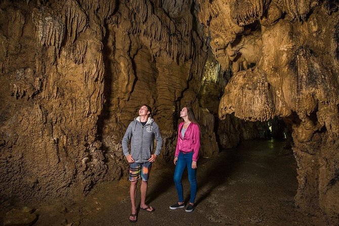Hobbiton & Waitomo Caves Small Group Tour from Auckland inc Lunch - The long road back to Auckland