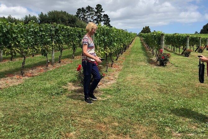 Kumeu Wine Tour - Why Kumeu works as an Auckland wine escape
