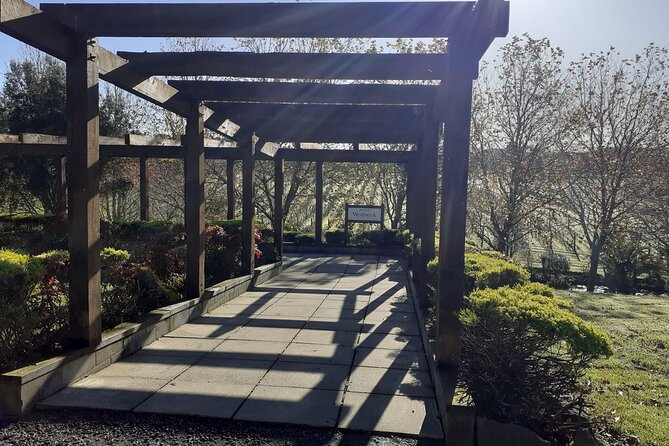 Kumeu Winery Boutique Tour with Gourmet Lunch from Auckland - Muriwai Beach Brings in the Tasman Sea