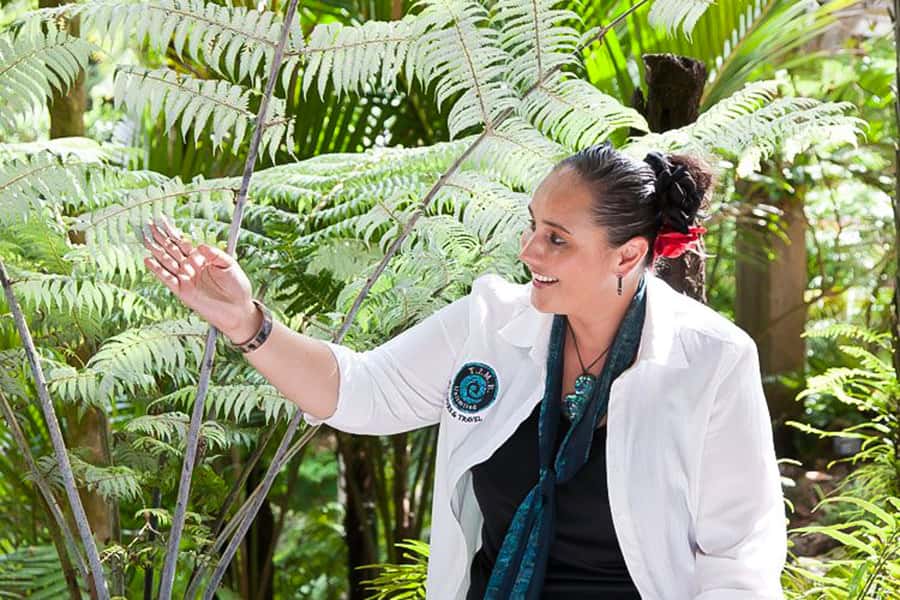 Luxury Auckland & West Coast Day Tour with Maori Guide - Parnell and Tamaki Drive show Auckland’s softer side
