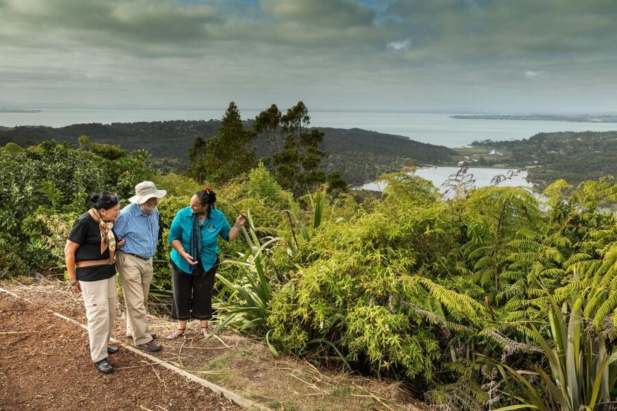 Luxury Auckland & West Coast Day Tour with Maori Guide - Titirangi leads you into the western ranges