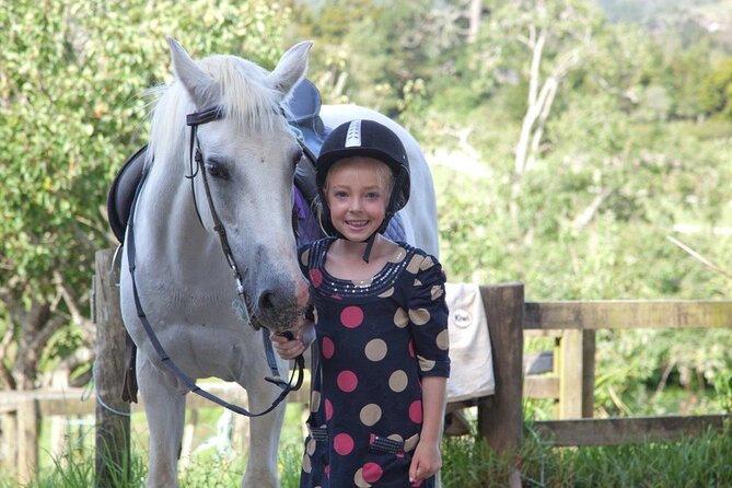 Matakana Art & Horse Riding Experience Private Tour From Auckland - From Auckland to Matakana country