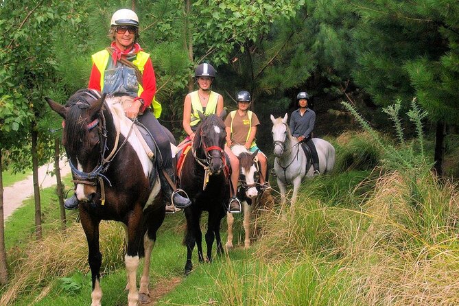 Matakana Art & Horse Riding Experience Private Tour From Auckland - Three hours among the gardens at Sculptureum