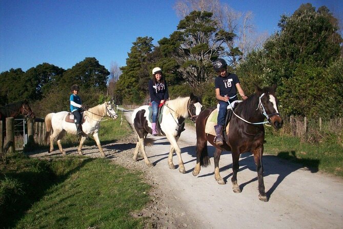Matakana Art & Horse Riding Experience Private Tour From Auckland - Who will enjoy this day most