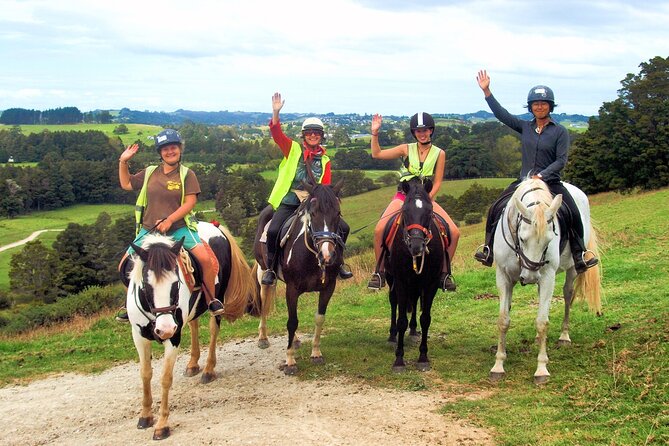 Matakana Art & Horse Riding Experience Private Tour From Auckland - An easy first ride in Warkworth
