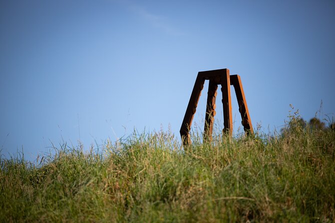 Matakana Art & Vineyard Experience incl. Lunch & Wine Tasting Tour From Auckland - A full day from Auckland to the Matakana Coast